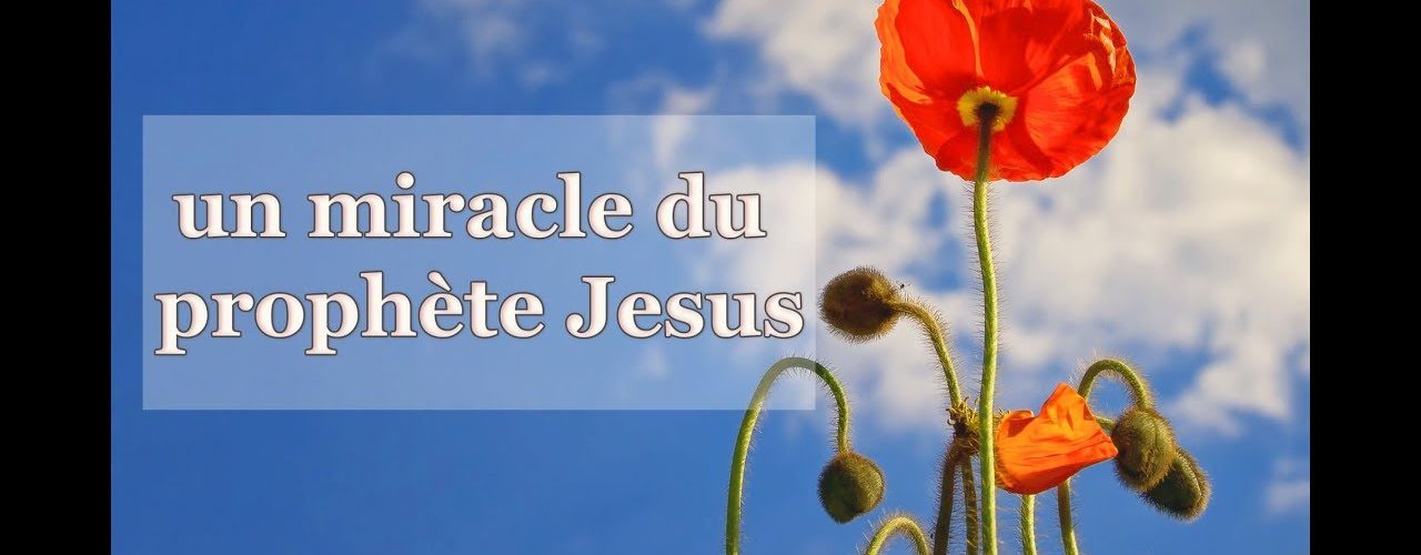 Un miracle du prophète Jésus