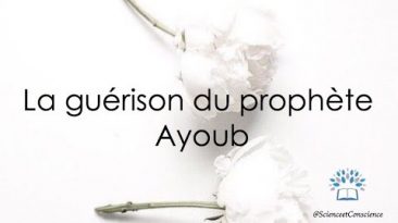La guérison du prophète Ayoub